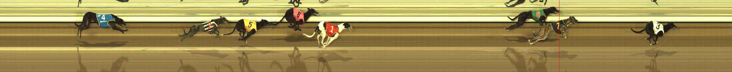 Race result finish photo